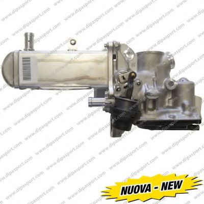 DIPASPORT EGR164N