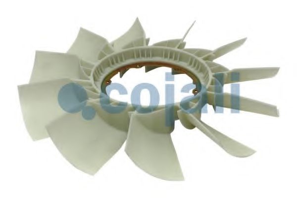 COJALI 7047128