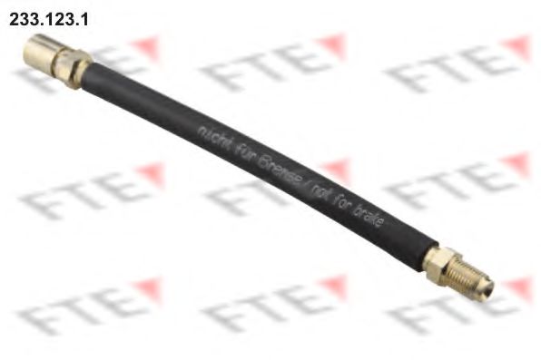FTE 233.123.1