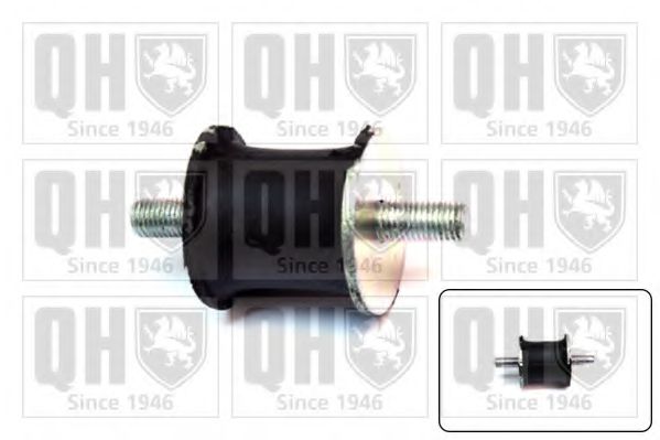 QUINTON HAZELL EM1364