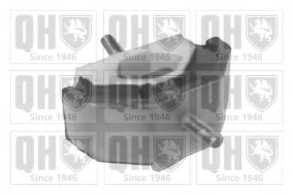 QUINTON HAZELL EM4331