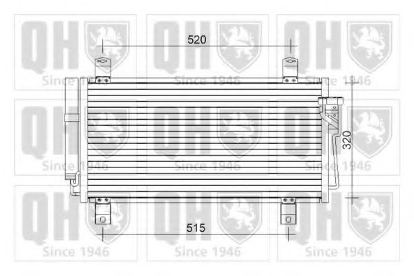 QUINTON HAZELL QCN555
