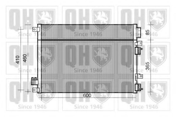 QUINTON HAZELL QCN572