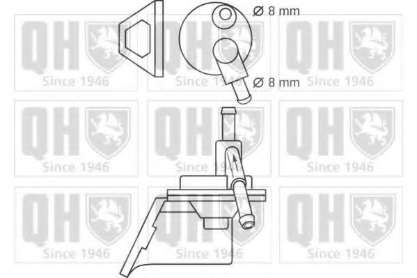 QUINTON HAZELL QFP6