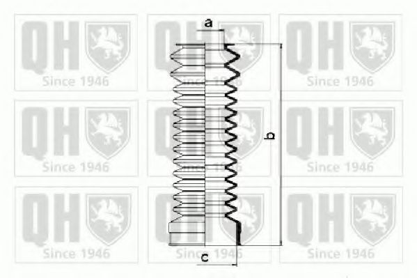 QUINTON HAZELL QG1135