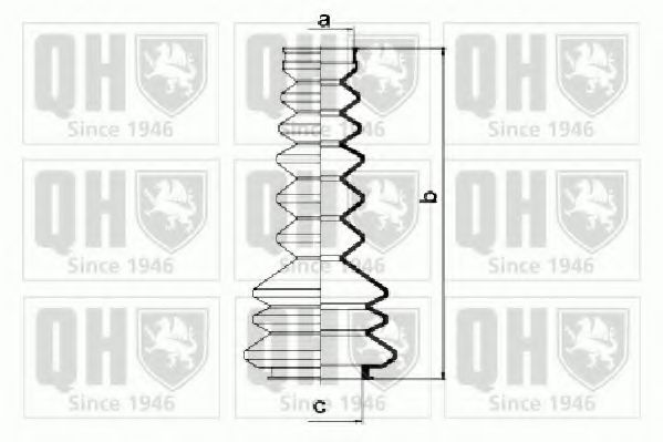 QUINTON HAZELL QG1158