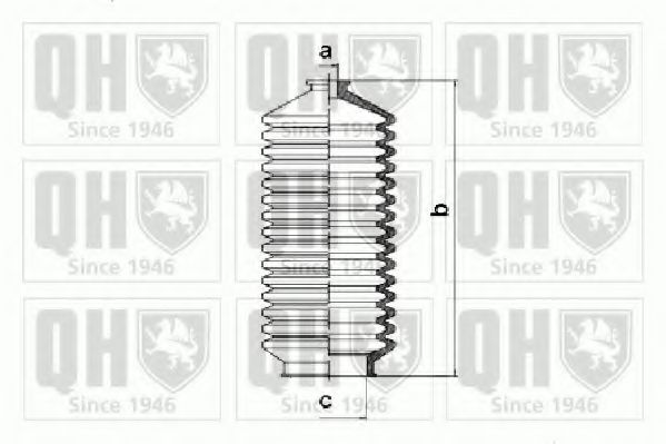QUINTON HAZELL QG1226