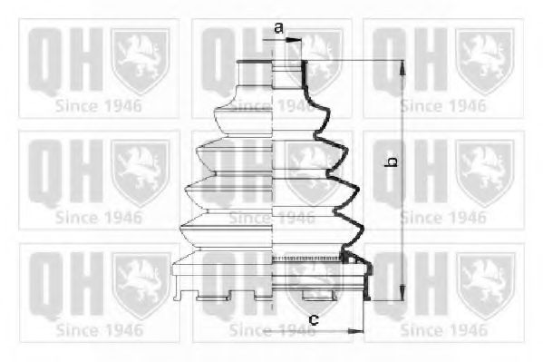 QUINTON HAZELL QJB1036