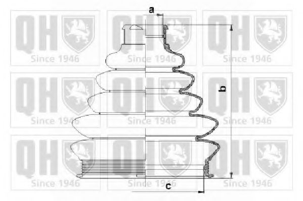 QUINTON HAZELL QJB1061