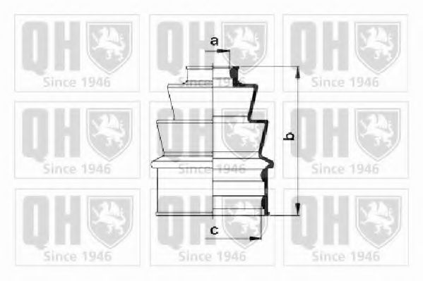 QUINTON HAZELL QJB155