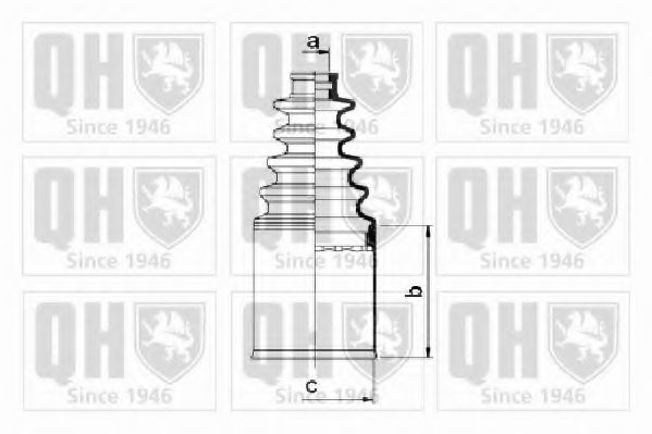 QUINTON HAZELL QJB2666