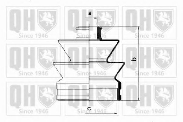 QUINTON HAZELL QJB365