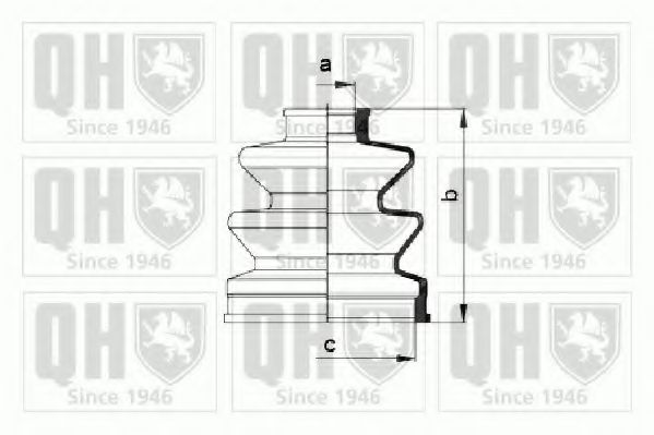 QUINTON HAZELL QJB826