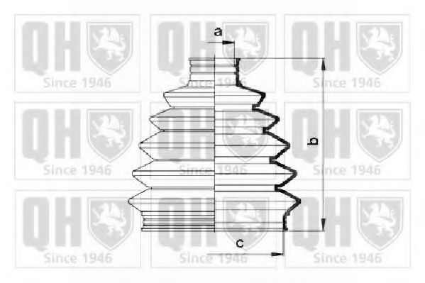 QUINTON HAZELL QJB873