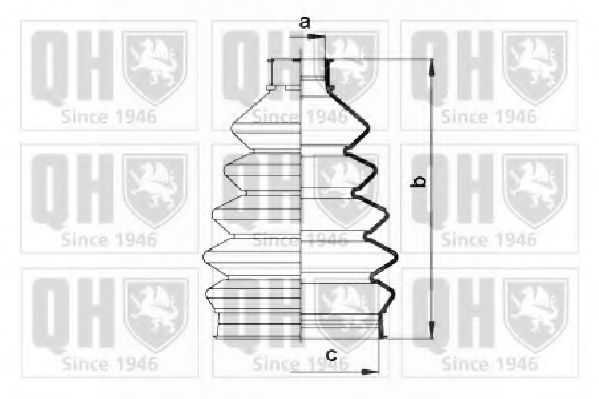 QUINTON HAZELL QJB874