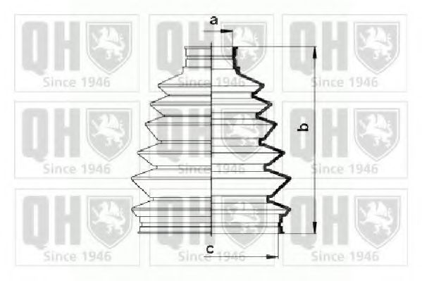 QUINTON HAZELL QJB897