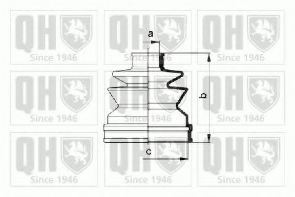 QUINTON HAZELL QJB993