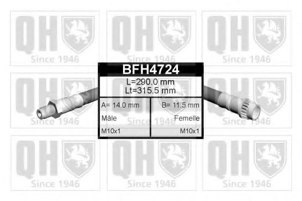 QUINTON HAZELL BFH4724