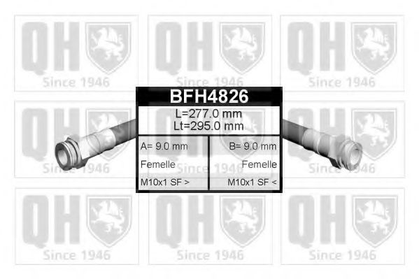QUINTON HAZELL BFH4826