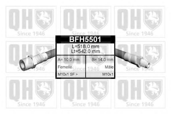 QUINTON HAZELL BFH5501