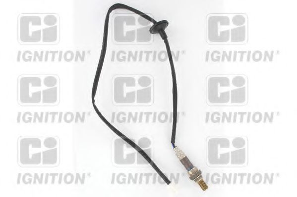 QUINTON HAZELL XLOS1606