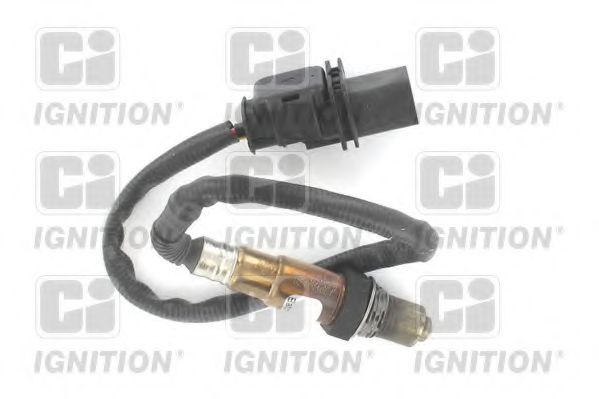 QUINTON HAZELL XLOS1838