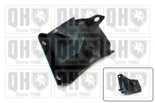 QUINTON HAZELL EM2049